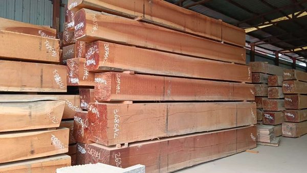 Bosse1 Bosse Wood Log