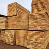 Dabema4 Dabema (Dahoma) Wood Timber