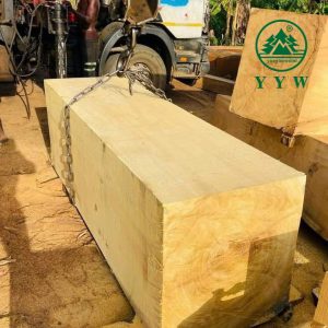 Iroko (African Teak Wood)