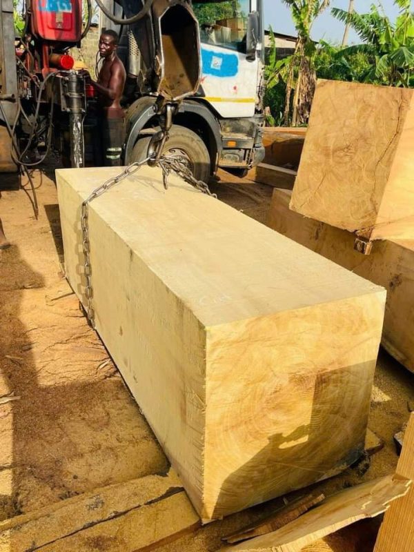 Iroko Iroko (African Teak Wood)