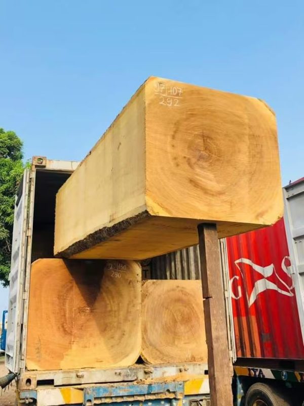 Iroko3 Iroko (African Teak Wood)