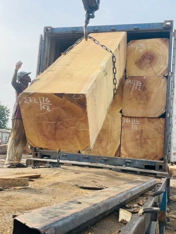 Iroko4 Iroko (African Teak Wood)