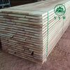 Iroko (African Teak Lumber)