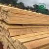 Movingui (Nigerian Satinwood Lumber)