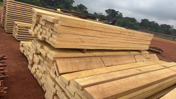 Movingui2 Movingui (Nigerian Satinwood Lumber)