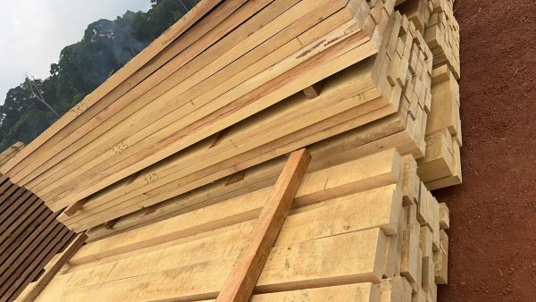 Movingui3 Movingui (Nigerian Satinwood Lumber)