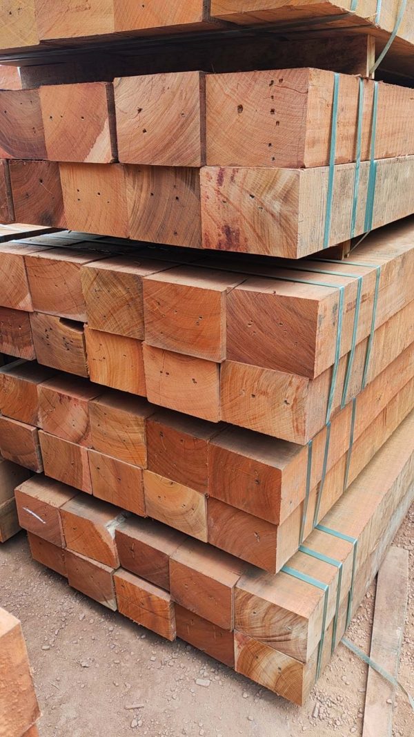 Okan2 Okan (Denya Wood Lumber)