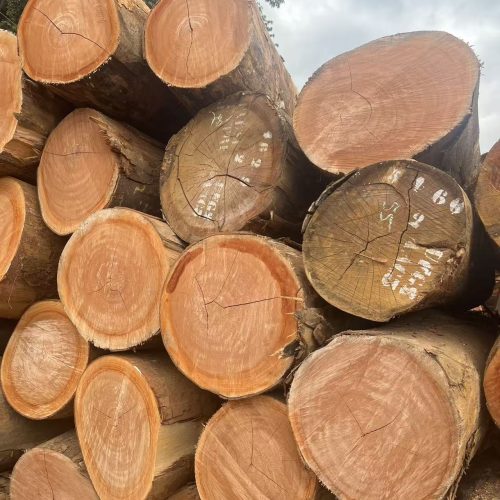 Okoume Gabon Okoume Wood