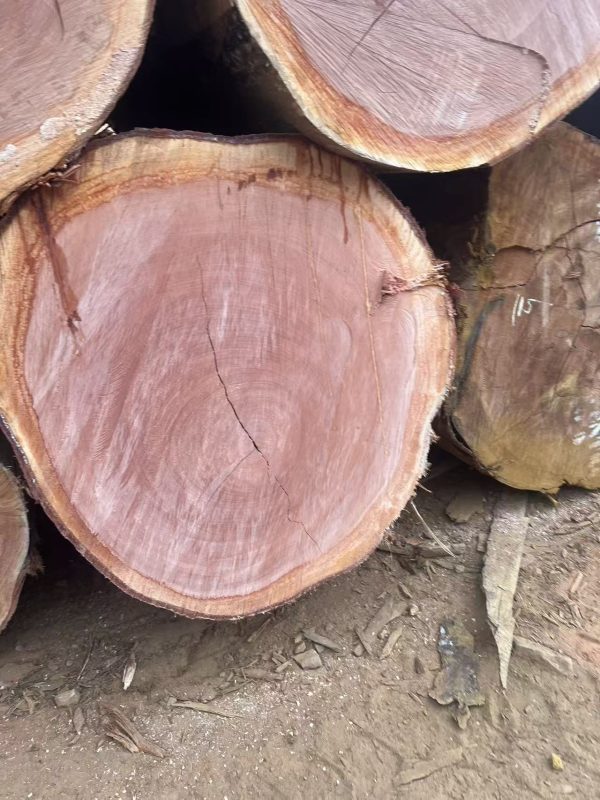 Okoume-a Gabon Okoume Wood