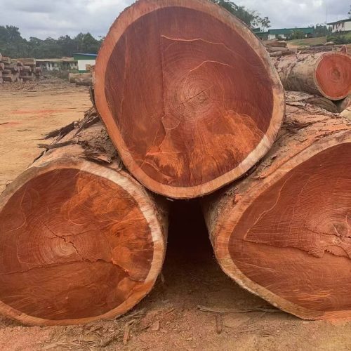 Padouk round timber logs