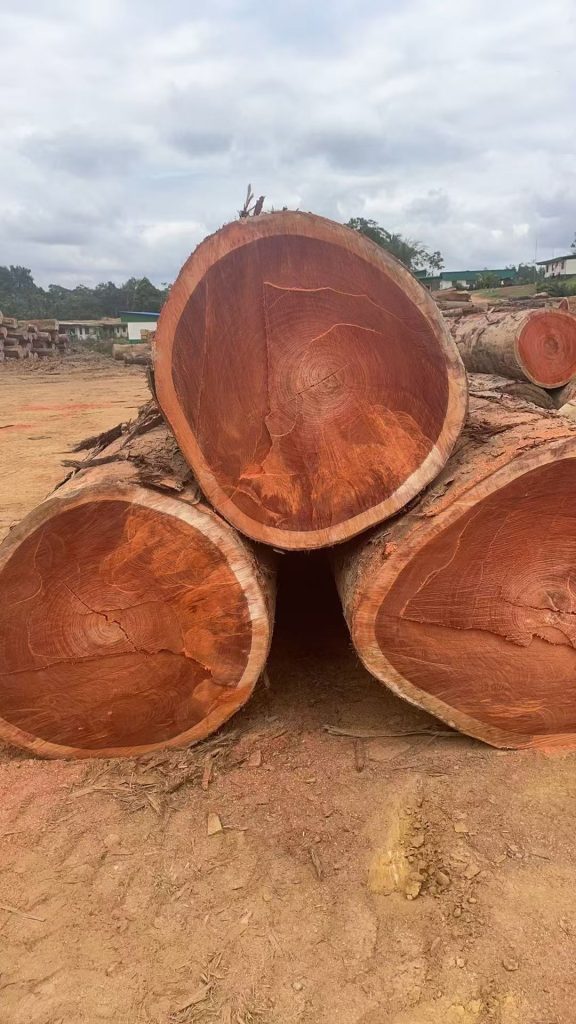 round timber logs