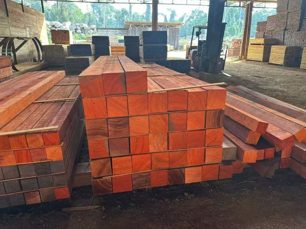 Padouk5 Padauk Lumber