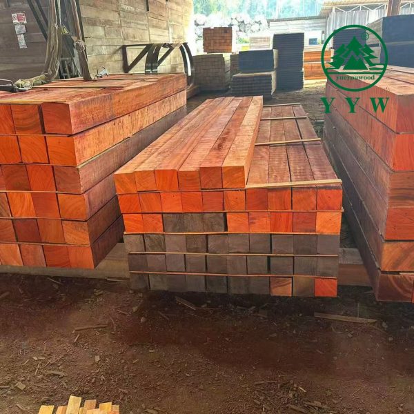 African Padauk Wood (Red Teak)