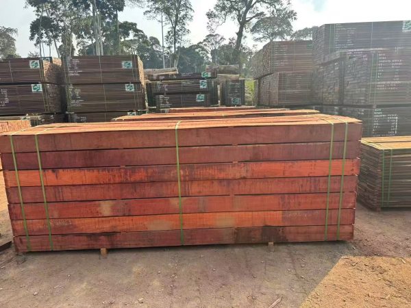 Padouk7 Padauk Lumber