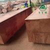 sapele wood for sale