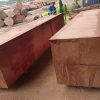 Sapeli1 Sapelli (Rough Sawn Sapele Timber)
