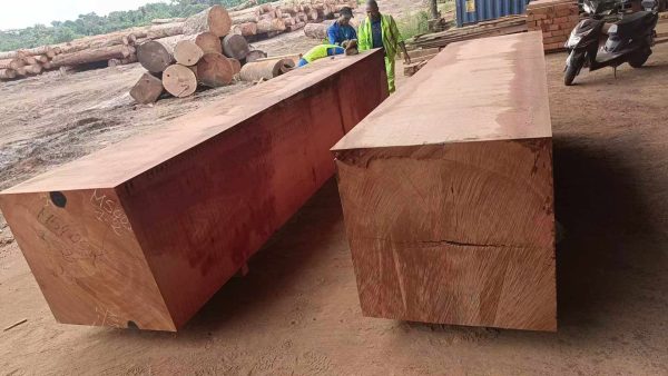 Sapeli1 Sapelli (Rough Sawn Sapele Timber)