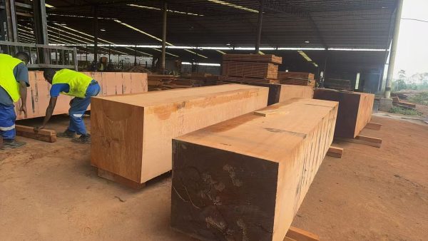 Sapeli2 Sapelli (Rough Sawn Sapele Timber)