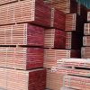 Sapele Timber