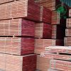 sapele timber for sale