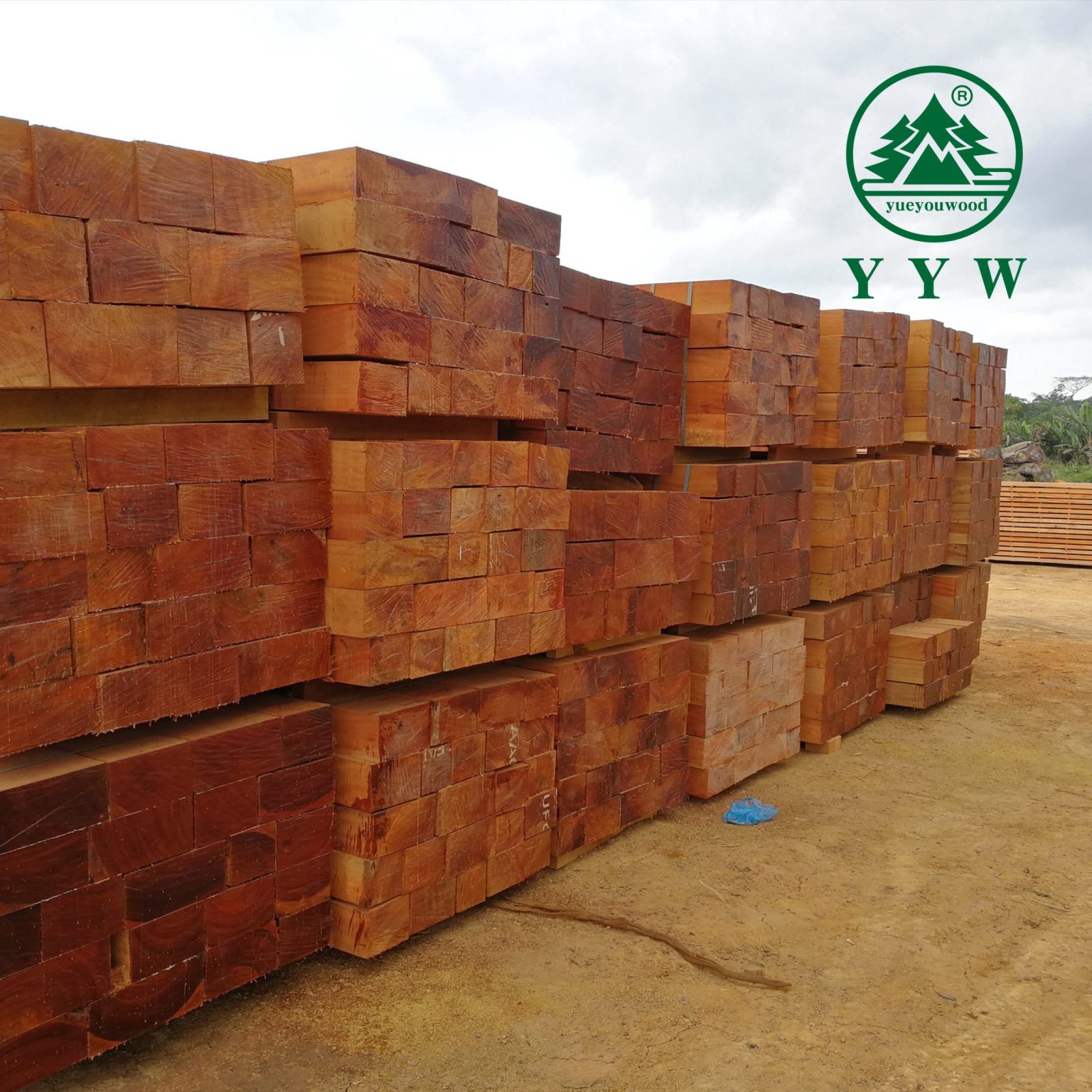 Top 10 African Hardwood Species