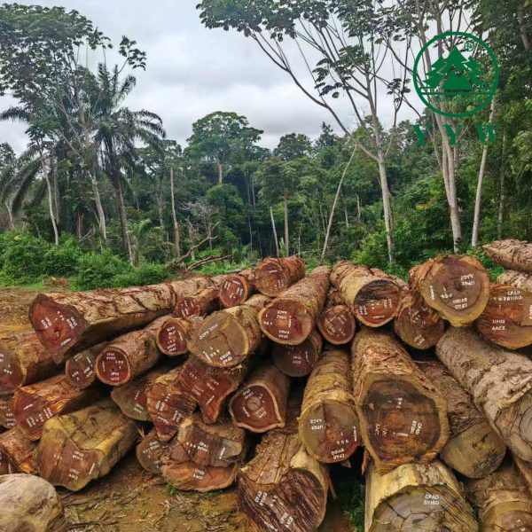 tali wood log tali wood log