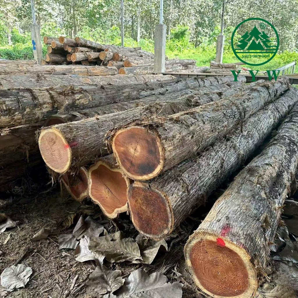 teak logs for sale