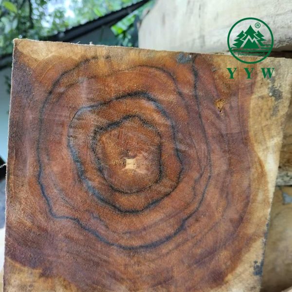 teak wood log