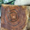 Teak2 Teak Square Logs