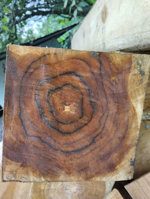 Teak2 Teak Square Logs