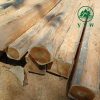 teak wood logs for sale