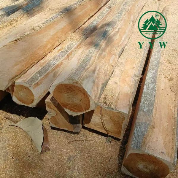 teak wood logs for sale