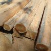 Teak3 Teak Square Logs