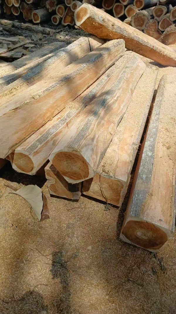 Teak3 Teak Square Logs