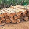 teak hardwood lumber