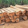 Teak4 Teak Square Logs