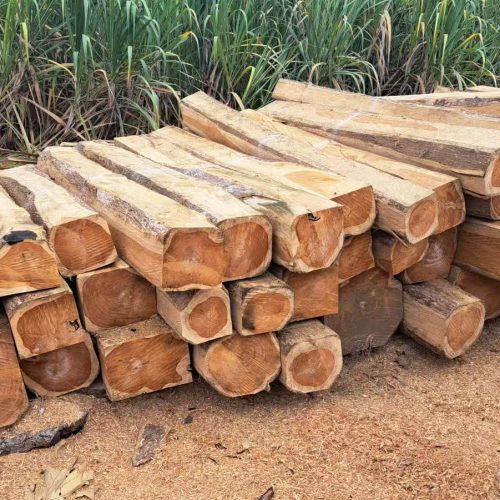 Teak4 Teak Square Logs