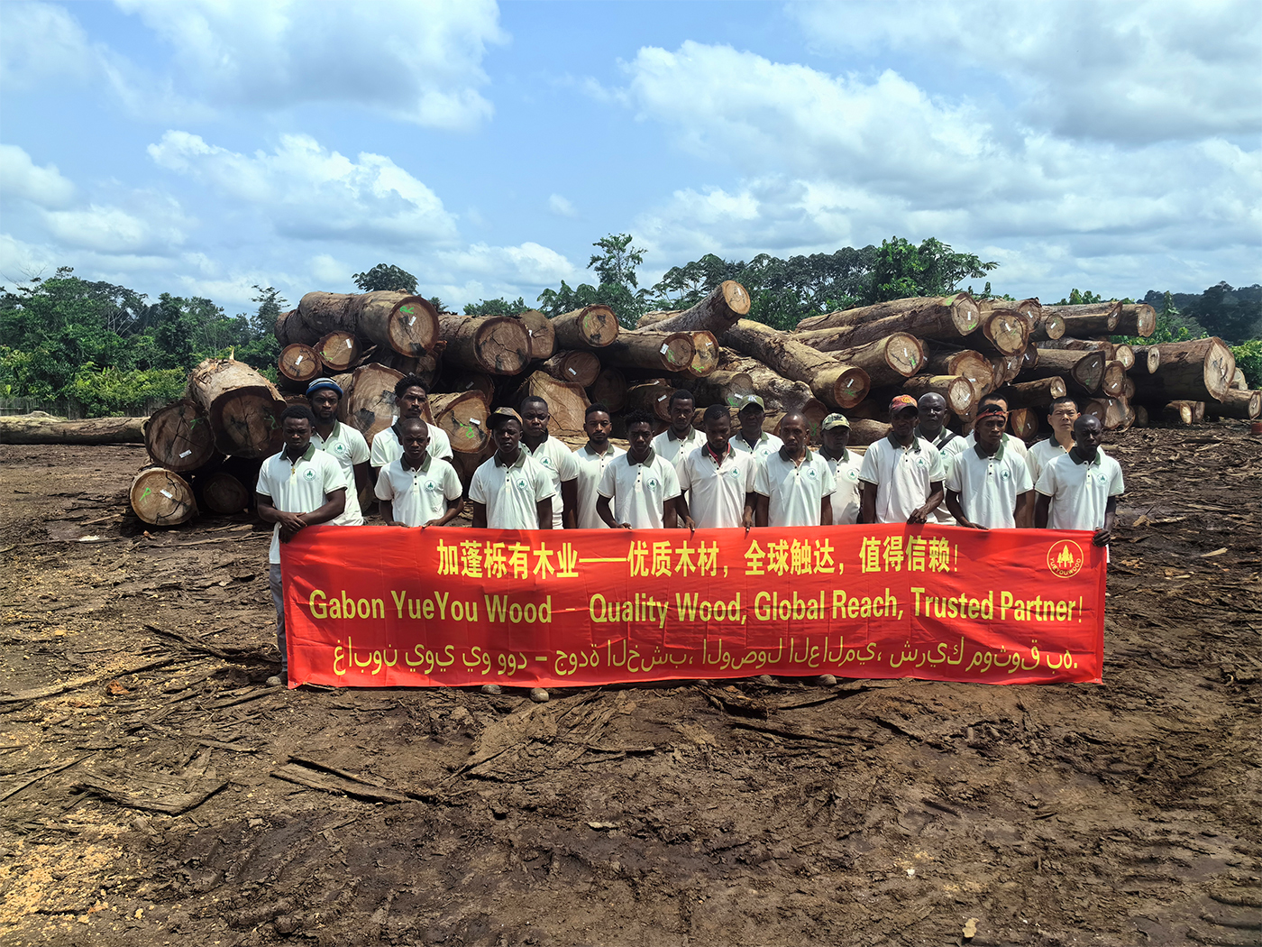 African Hardwood Timber | Wholesale Exotic Lumber Supplier | YYW