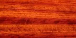 padauk color