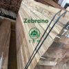 zebrano1 Zebrano (Zebrawood Lumber)