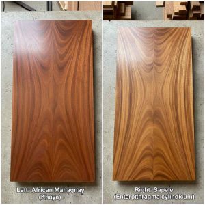 african-mahogany-khaya-right-sapele-entandrop