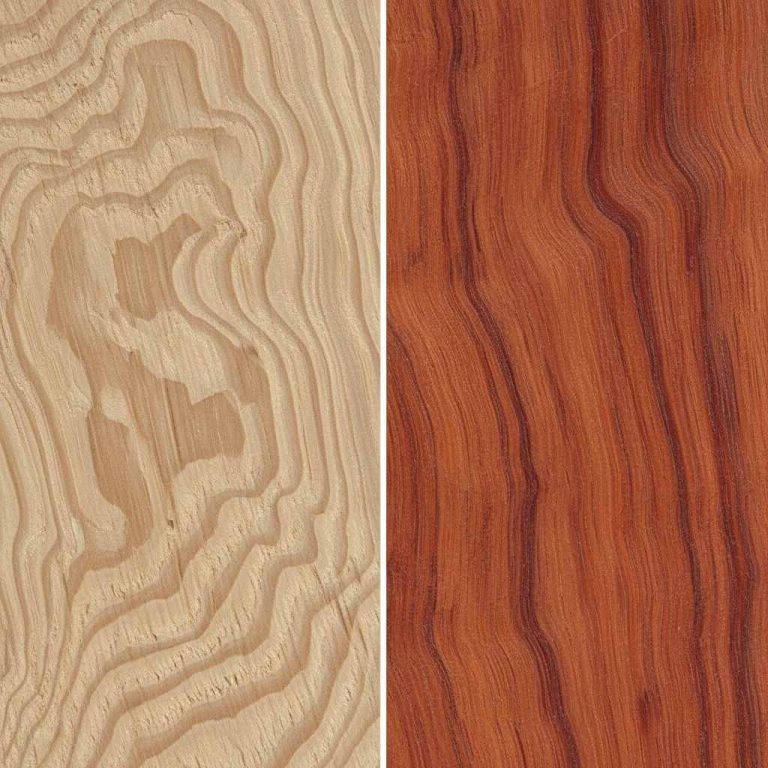 tropical-vs-domestic-hardwood-differences-1