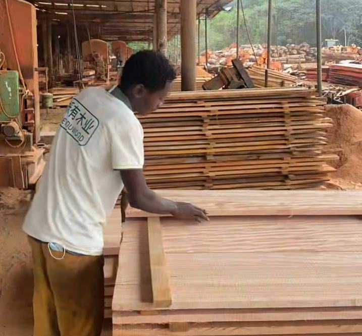 Massive African hardwood logs in timber yard ready for export
