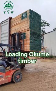 loading Okume timber