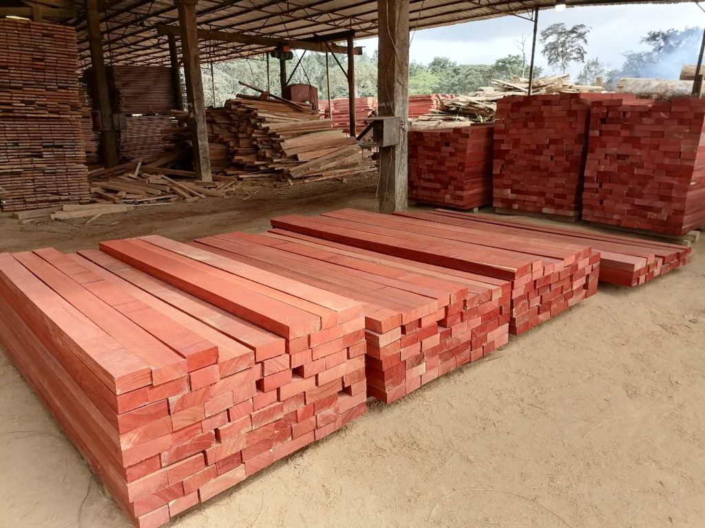 Inspector vetting african timber suppliers examining Tali log cants