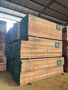 KD okoume timber