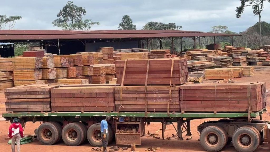 Padouk or Azobe: How to Choose