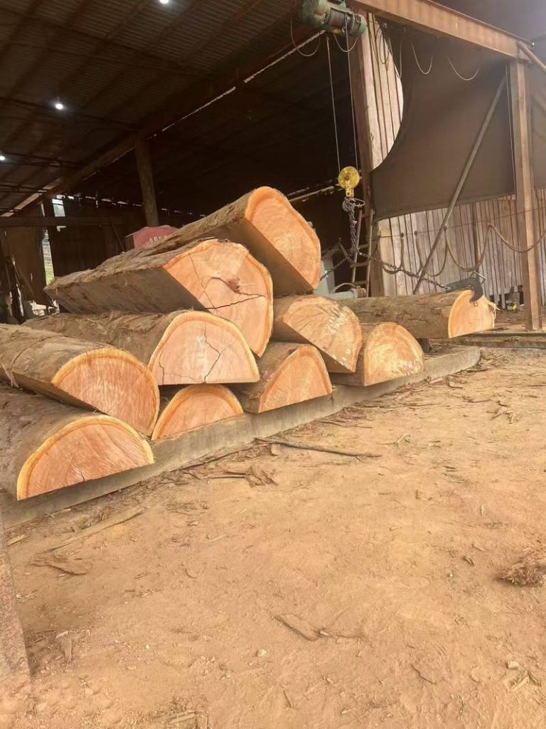 Okoume timber processing facility showing sawn timber ready for export compliance checks