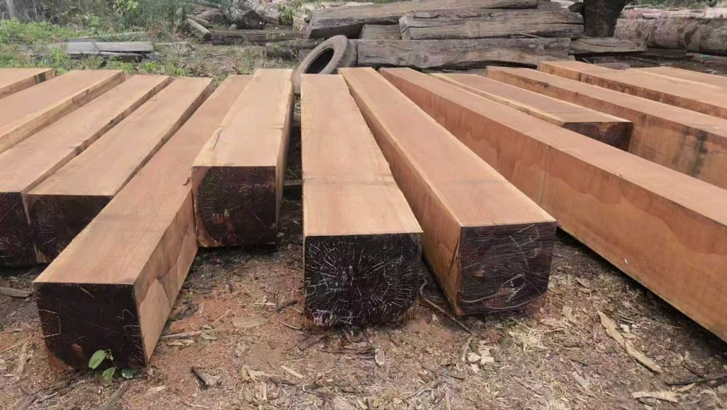 Jatoba square logs stacked in yard for industrial supply