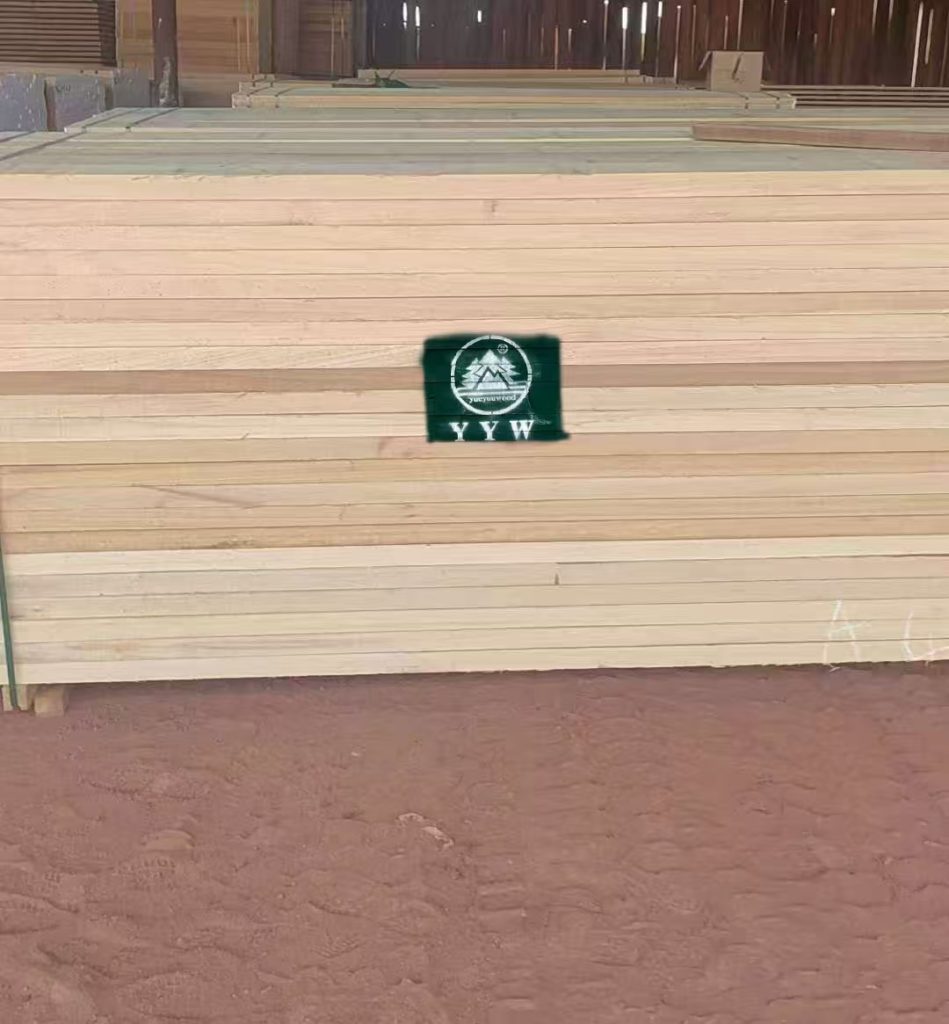 Ayous timber prepared for processing and warehouse storage